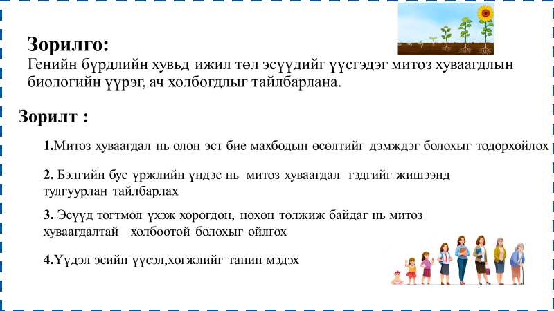 Мэдлээ | Цахим контент